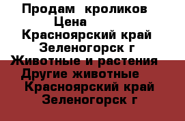 Продам  кроликов › Цена ­ 350 - Красноярский край, Зеленогорск г. Животные и растения » Другие животные   . Красноярский край,Зеленогорск г.